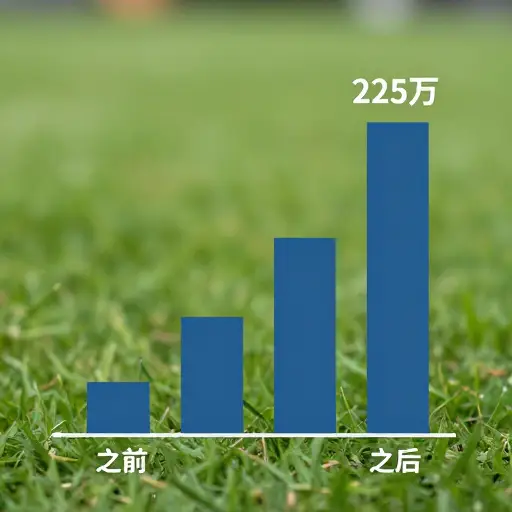 大约增加了225万。