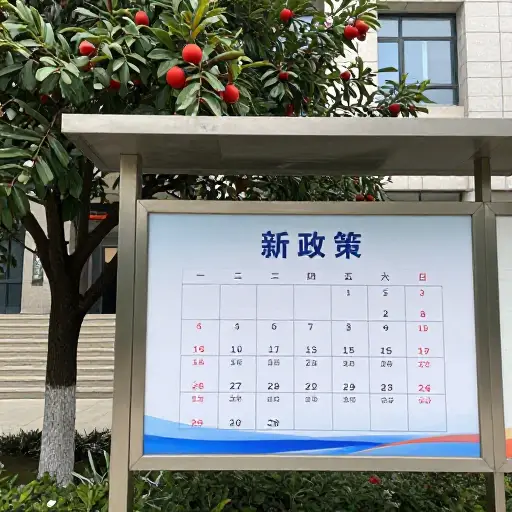 新政策预计在未来几个月内产生成效。