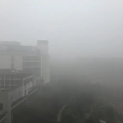 镜头脏了，所以照片看起来雾蒙蒙的。