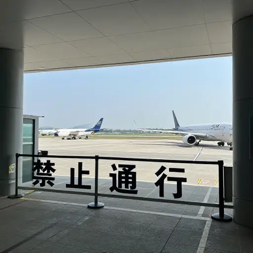 由于疫情，旅行限制已经实施了数月。