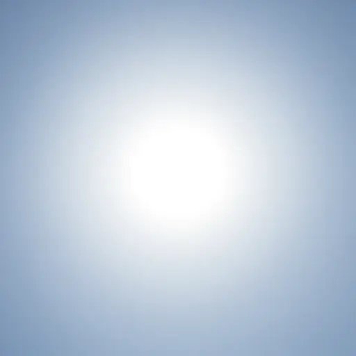 这张照片里的天空太亮了。