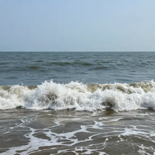 河口由于水流汇入大海时的压力而带来额外的兴奋感。