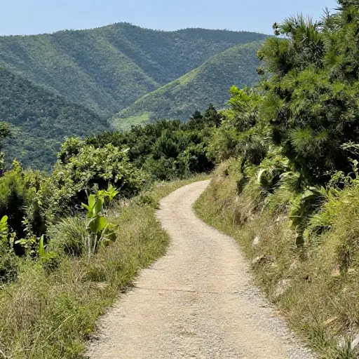 小径向下倾斜通向山谷。