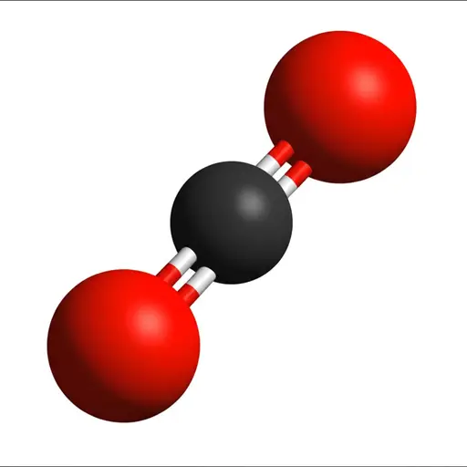 二氧化碳分子由两个氧原子和一个碳原子组成。