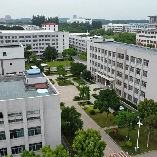 我的大学不是很大。