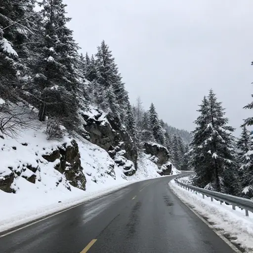 山区的道路在冬天变得很危险。