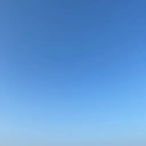 他使用了这样一个类比：心智无形且不可见，就像天空一样。