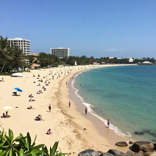 该国的经济依赖于旅游业。