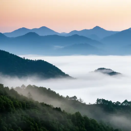 雾气正慢慢爬上山坡。