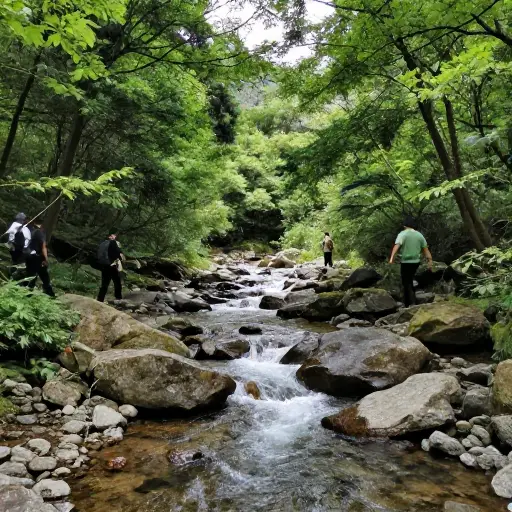 我们沿着一条山间小溪徒步。