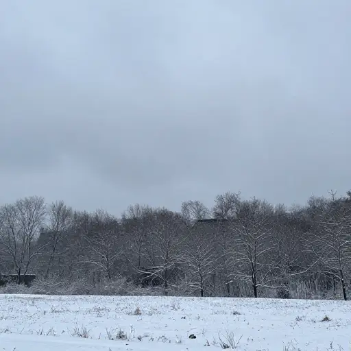 看起来稍后可能要下雪。