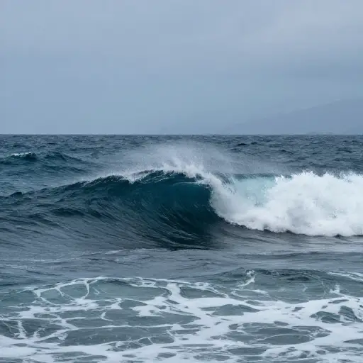汹涌的大海使景色显得戏剧性。