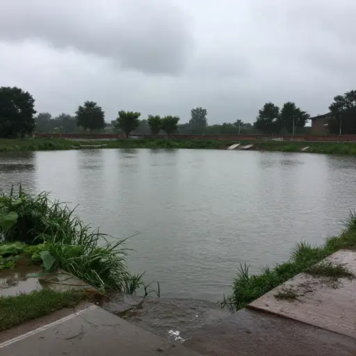 暴风雨后，池塘的水溢出了堤岸。