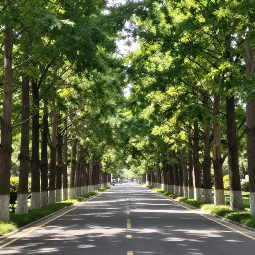 那是一条两旁种着树的美丽林荫大道。