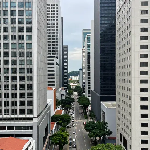 在新加坡，土地稀缺，因此修建更多道路很困难。