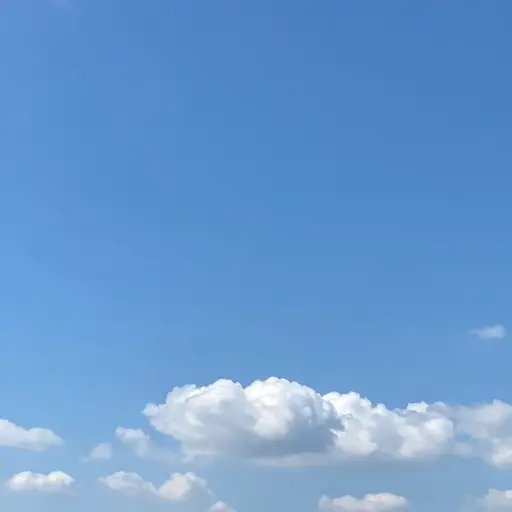 短期天气预报说明天是晴天。