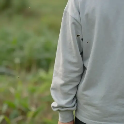 我们应该穿长袖衣服来防止昆虫叮咬。