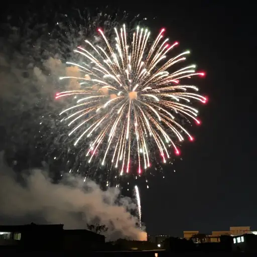 烟花照亮了天空。