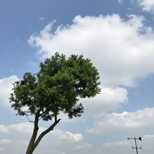 风向转为了东风。