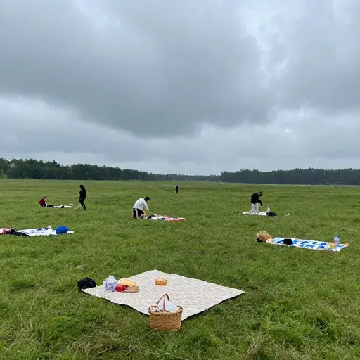 由于天气原因，我们不得不推迟野餐活动。