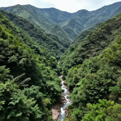 这个偏远山谷仍未被现代技术触及。