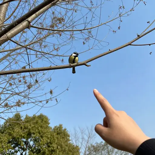 看那边那只鸟。