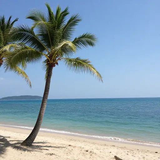 这是岛上最美丽的海滩。