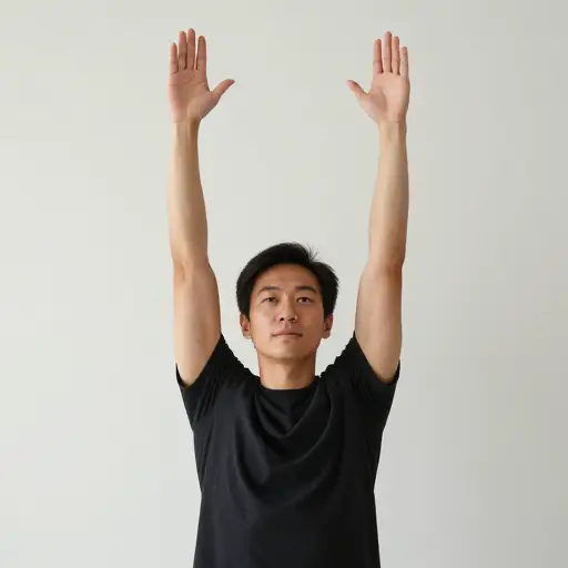 将手臂向上伸展过头顶。