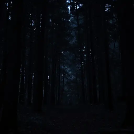 没有一丝月光，森林里漆黑一片，寂静无声。