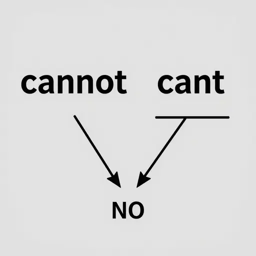 在“can't”中使用的撇号表示“cannot”中省略了“no”。