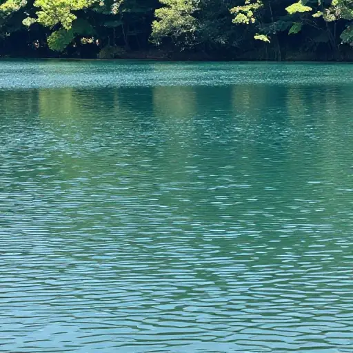 水是最常见且普遍已知的物质之一。