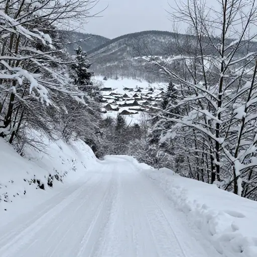 大雪切断了通往村庄的唯一道路，使居民们与外界隔绝。