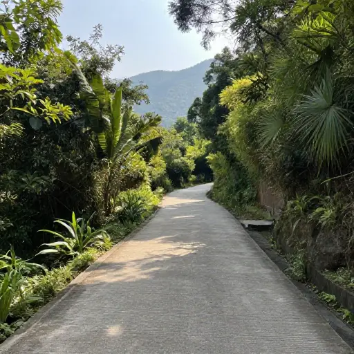 这次徒步以平缓的爬升上山为特点。
