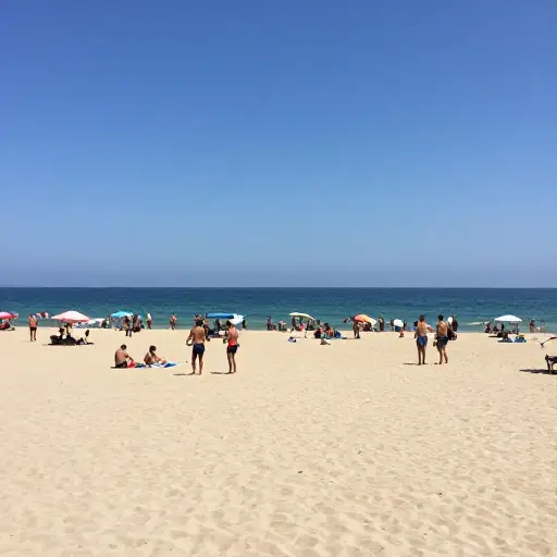 每年夏天，海滩都会被寻求阳光和大海的度假者挤满。