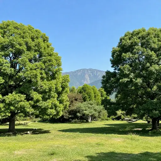 美丽的风景对我的情绪产生了积极影响。
