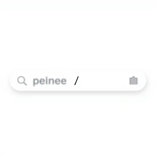 我们网站的URL在域名后包含一个斜杠。