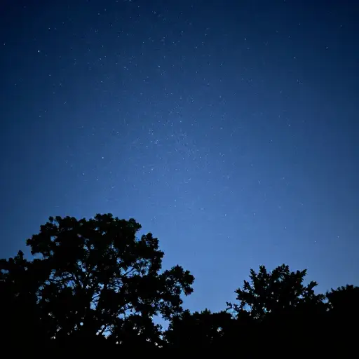 那是一个星空下的奇妙夜晚。