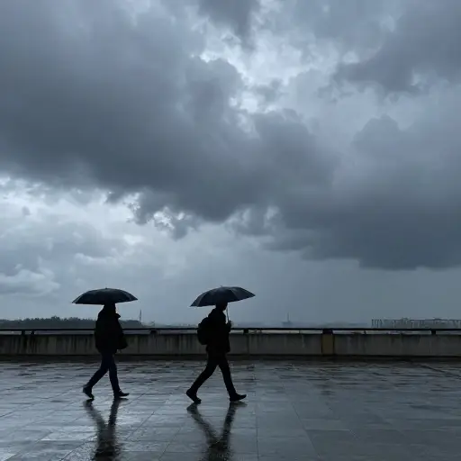 几乎可以肯定，明天会下雨。
