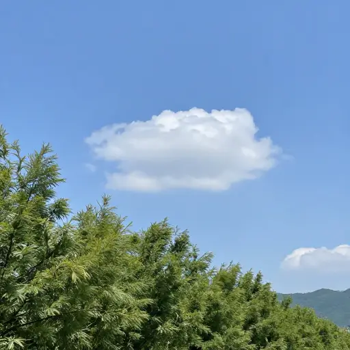 今天天气很宜人。