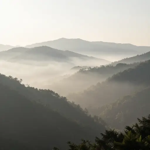 清晨的薄雾在山谷上形成了一层精致的薄纱。
