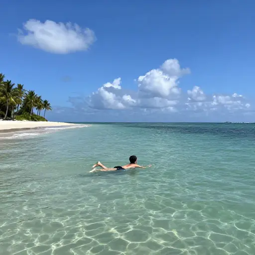我喜欢那个地方，因为我可以在海里游泳。