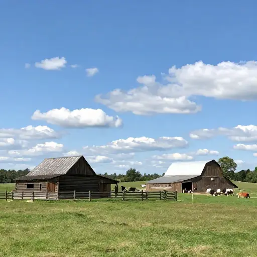 他们住在一个农场。