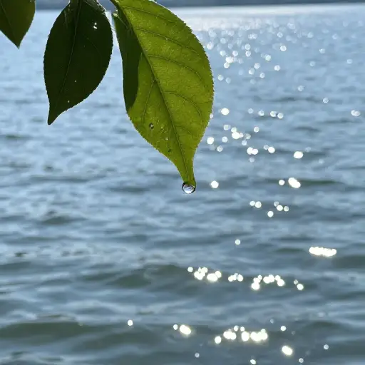 水是最常见且普遍为人所知的物质之一。