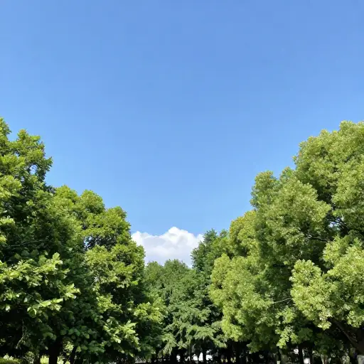 今天的天气好极了。