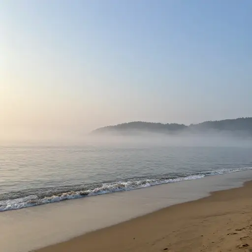 晨雾开始从海上弥漫过来，笼罩了海岸线。