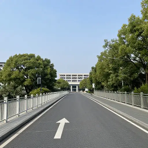 在桥之前右转，你会看到图书馆。