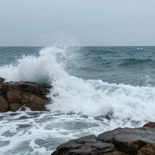 一个巨浪拍打在岸上。